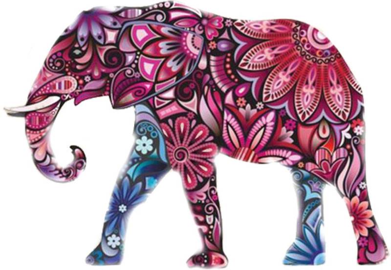 Sticker für Auto Motorrad MacBook Deko Elefant Blume Rosa Tier Kühlschrank von Akachafactory