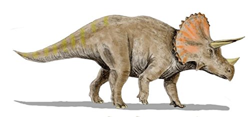 Akachafactory Aufkleber, Sticker, Motiv: Dinosaurier, Dekoration fürs Kinderzimmer, Triceratops von Akachafactory