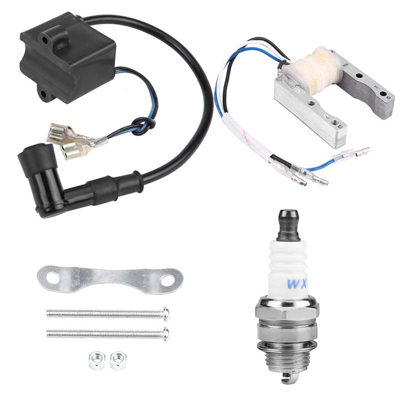 CDI Zündspule Magnetzündspule für Motorisierte 49cc 66cc 80cc Motor Fahrrad Zündkerze von Akozon