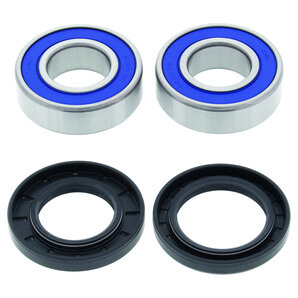All Balls Racing Radlagersätze für vorne und/oder hinten von All Balls Racing