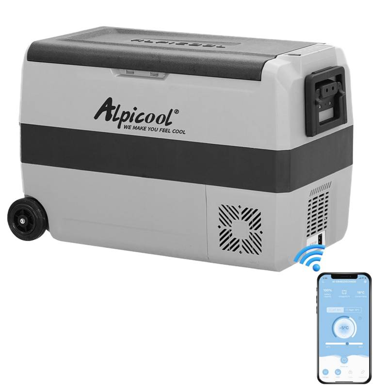 Alpicool T50 50L Kompressor Kühlbox 12V tragbarer Kühlschrank elektrische Gefrierbox klein Gefrierschrank für Auto Camping, LKW, Boot und Steckdose mit USB-Anschluss, -20℃ bis 20℃ von Alpicool