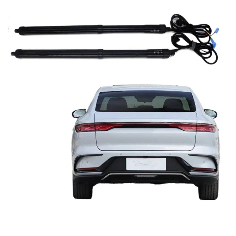 Autoteile Für BYD DM 2020 Auto Elektrische Heckklappe Aufzug Auto Elektrische Stamm Stick Kick Sensor Hinten Tür Power Kit Elektrische Gasfeder(No Kick Senor) von Amxaqjc