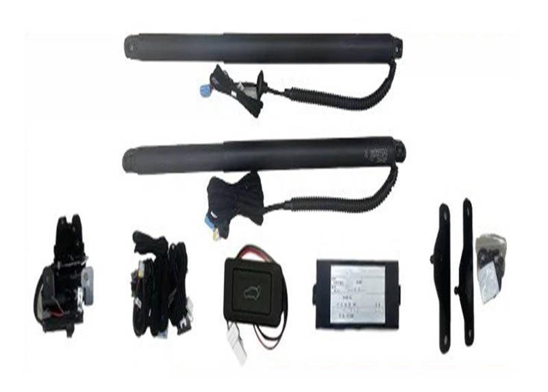 Autoteile Für BYD Für Seal 2022 2023 2024 Auto Elektrische Heckklappe Aufzug Auto Elektrische Stamm Stick Kick Sensor Hinten Tür Power Kit Elektrische Gasfeder(with Kick Senor) von Amxaqjc