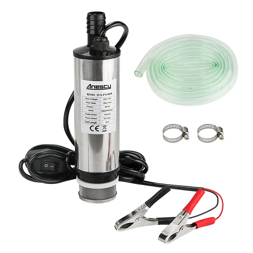 Edelstahl Transfer Pumpe 12V 51mm Wasserpumpe Tauchpumpe für Auto Diesel Öl Heizöl Wasser Kraftstofftransfer Pumpe mit Herausnehmbarem Filter, 3m PVC Transparenter Schlauch, Schlauchklemmen von Anesty