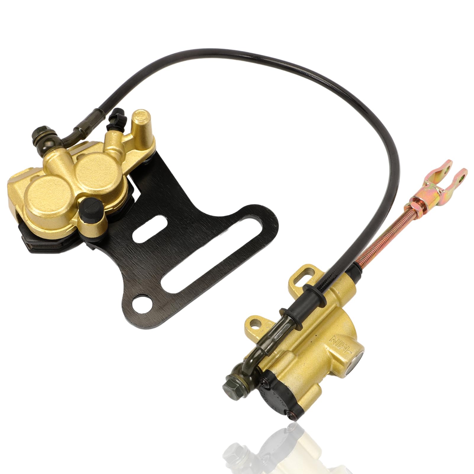 Anlseiod Bremssattel Bremsbeläge Hydraulik Bremsen Kit hinten System mit Pad Kompatibel mit 50cc 70cc 90cc 110cc 125cc 140cc 150cc Pit Dirt Bike 50 cc 12 mm(Gold) von Anlseiod