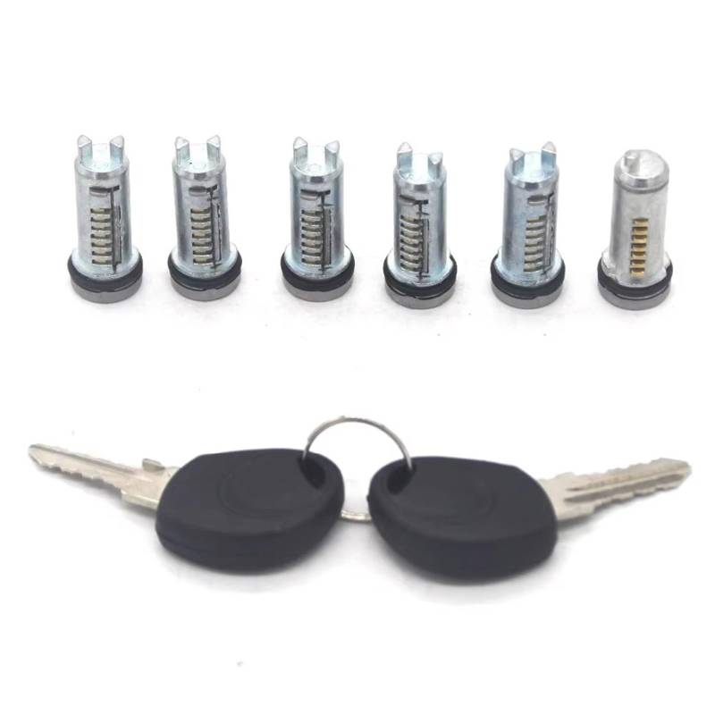 Türverriegelungsaktuator TÜRSCHLOSSZYLINDER FÜR IVECO FÜR DAILY 2000-2012 2996075 2996076 2992551 2991727 6 Stück 2001 2002 2003 2004 2005 2006 2007 2008 2009 2010 2011 Türschloss Stellmotor(Black Key von Aokvoh