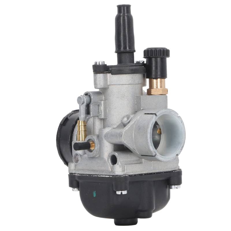 Aramox Carburetor Motorrad Vergaser Dellorto PHBG DS 21 Mm Motorrad-Vergaser, für 2-Takt-Roller 50–110 Motorräder von Aramox