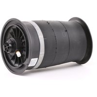 Arnott Luftfeder, Fahrwerk Original Arnott Produkt hinten A-2780 BMW,5 Touring (F11),5 GT (F07) Arnott Luftfeder, Fahrwerk Original Arnott Produkt hinten A-2780 BMW,5 Touring (F11),5 GT (F07) von Arnott