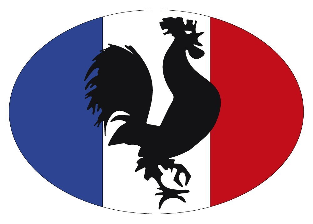 Artimagen Aufkleber Flagge Oval Hahn Frankreich 80 x 60 mm. von Artimagen