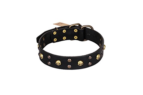 Leder Hundehalsband mit Messing vergoldet Dekorationen – "Face The Skull" handgefertigt von artisan von Artisan Dog Collars