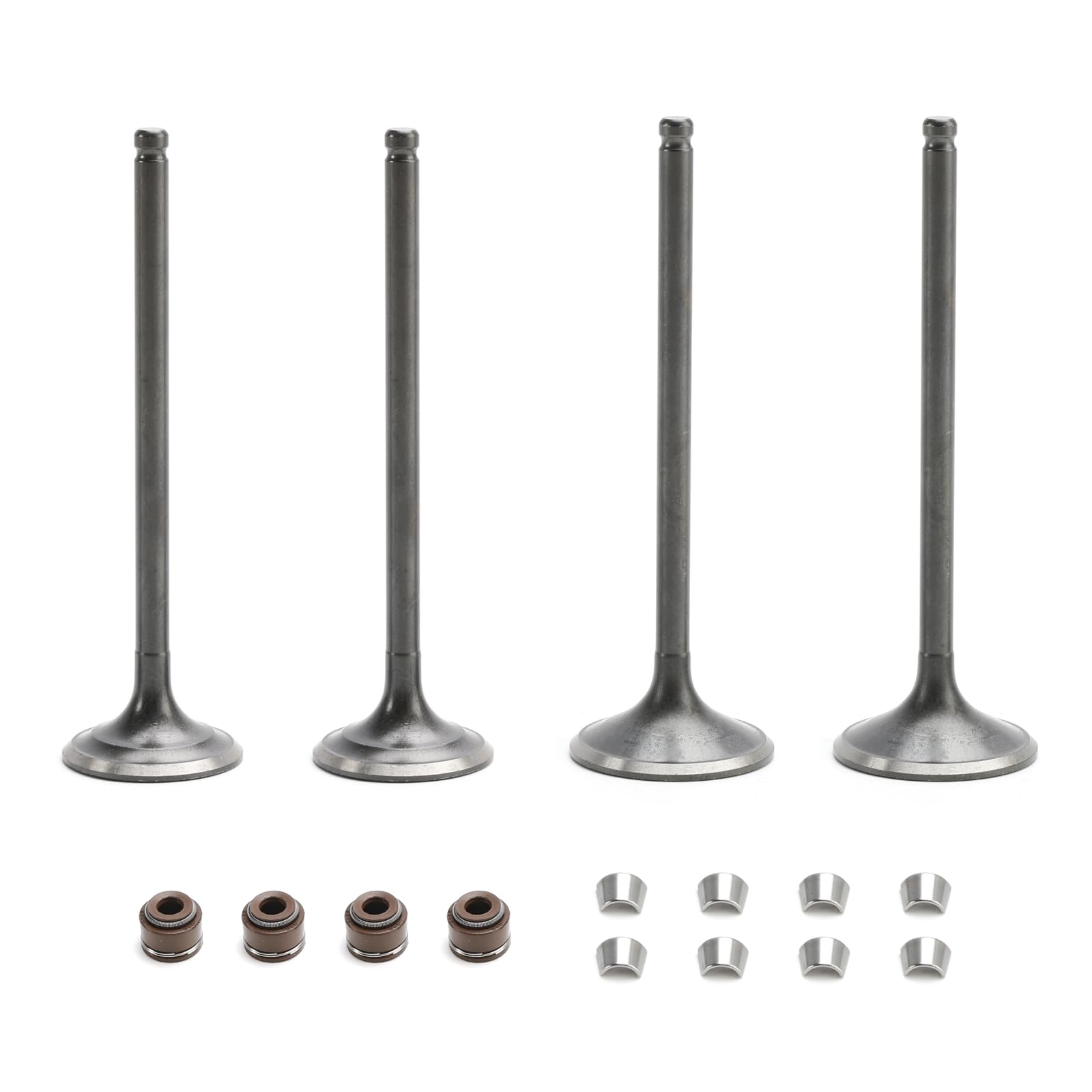 Artudatech Zylinder Kolben Kit Zylinderkit Head Intake & Exhaust Valves Seals Cotters Fit for Honda TRX400EX TRX400X 1999-2014 Artudatech Zylinder Kolben Kit Zylinderkit Head Intake & Exhaust Valves Seals Cotters Fit for Honda TRX400EX TRX400X 1999-2014 von Artudatech
