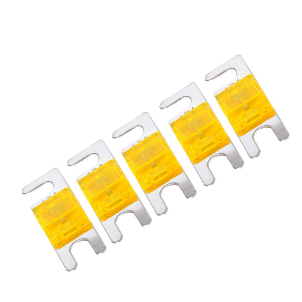 AsrMyjcx 5 PC Mini ANL Flachsicherungen für Fahrzeuge Aller Art, 40A AsrMyjcx 5 PC Mini ANL Flachsicherungen für Fahrzeuge Aller Art, 40A von AsrMyjcx