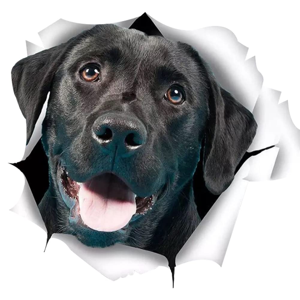 3D Labrador Auto Aufkleber Aufkleber,Asudaro 2 Stück 3D Hunde Aufkleber Sticker Personalisierte Lustige Labrador Aufkleber Autofenster Stoßfänger Riss Vinyl Hund Aufkleber,Schwarz von Asudaro