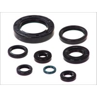 Motordichtungssatz ATHENA P400210400252 Motordichtungssatz ATHENA P400210400252 von Athena