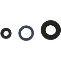 Motorsimmerringsatz ATHENA P400250400017 Motorsimmerringsatz ATHENA P400250400017 von Athena