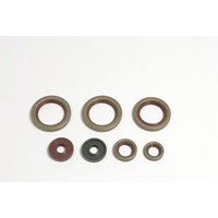 Motorsimmerringsatz ATHENA P400270400038 Motorsimmerringsatz ATHENA P400270400038 von Athena