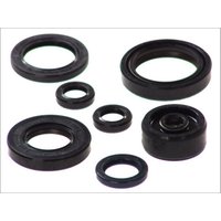 Motorsimmerringsatz ATHENA P400485400125 von Athena