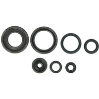 Motorsimmerringsatz ATHENA P400485400253 Motorsimmerringsatz ATHENA P400485400253 von Athena