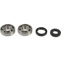 Reparatursatz, Kurbelwelle ATHENA P400250444001 Reparatursatz, Kurbelwelle ATHENA P400250444001 von Athena