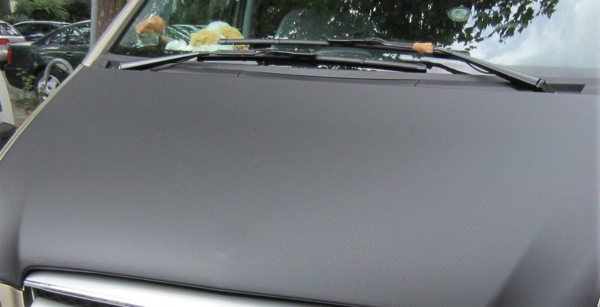 AB3-00849 CARBON OPTIK Vollbra Bonnet BRA für die ganze Motorhaube kompatibel mit FORD TRANSIT CUSTOM TOURNEO ab 2023 Haubenbra Steinschlagschutz Tuning AB3-00849 CARBON OPTIK Vollbra Bonnet BRA für die ganze Motorhaube kompatibel mit FORD TRANSIT CUSTOM TOURNEO ab 2023 Haubenbra Steinschlagschutz Tuning von Auto-Bra