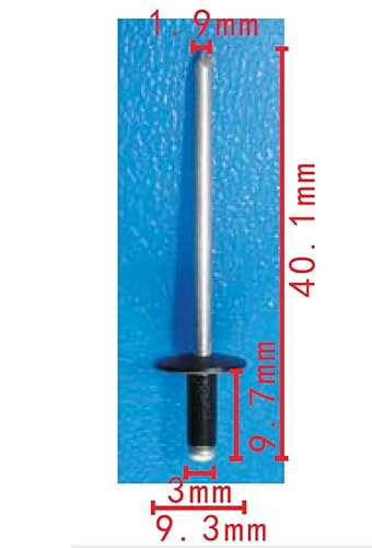 Autobahn88 Windschutzscheiben-Seitenschienenniete, kompatibel mit Ford (OEM: N805759S100) (10 Stück) von Autobahn88