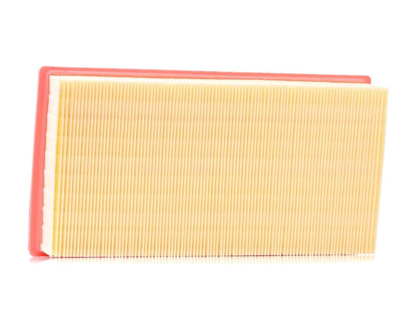 AUTOMEGA Luftfilter 180024210 von Automega