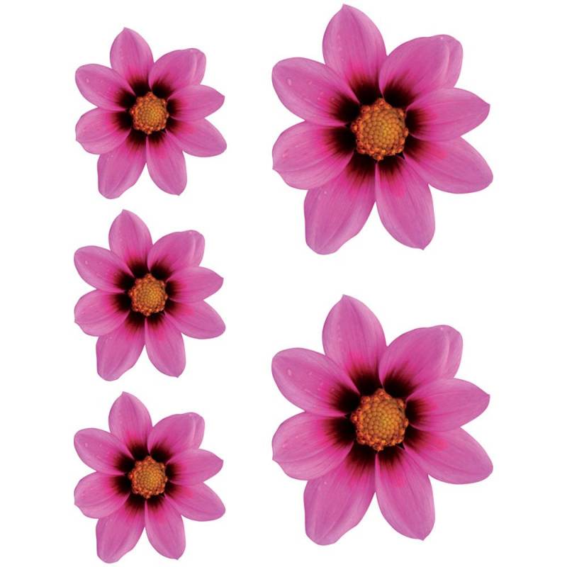Avisa AutoStyle 1/09315 Autoaufkleber Blumengarten, Pink, 2 x 16 x 15 cm und 3 x 85 x 8 cm von Avisa