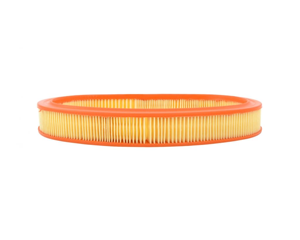 COOPERSFIAAM FILTERS Luftfilter FL6796 COOPERSFIAAM FILTERS Luftfilter FL6796 von Autoteile Gocht