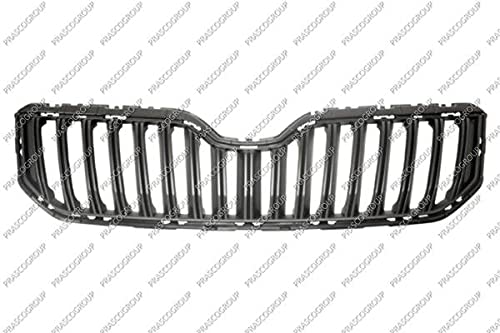 Kühlergitter Frontgrill Kühlergrill Kompatibel mit Skoda Yeti 5L 09-17 von Autoteile Gocht