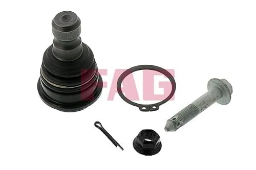 Führungsgelenk Traggelenk Vorne Kompatibel mit Hyundai Santa FE I SM 2001-2006 von Autoteile Gocht Führungsgelenk Traggelenk Vorne Kompatibel mit Hyundai Santa FE I SM 2001-2006 von Autoteile Gocht von Autoteile Gocht