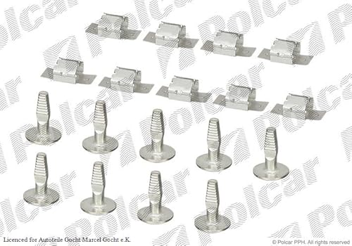 Unterfahrschutz Einbausatz Clip Clips Schrauben Set Kompatibel mit Peugeot 206+ 207 CC Cabrio Limo Kombi 307 Citroen C2 C3 1999-> von Autoteile Gocht Unterfahrschutz Einbausatz Clip Clips Schrauben Set Kompatibel mit Peugeot 206+ 207 CC Cabrio Limo Kombi 307 Citroen C2 C3 1999-> von Autoteile Gocht von Autoteile Gocht