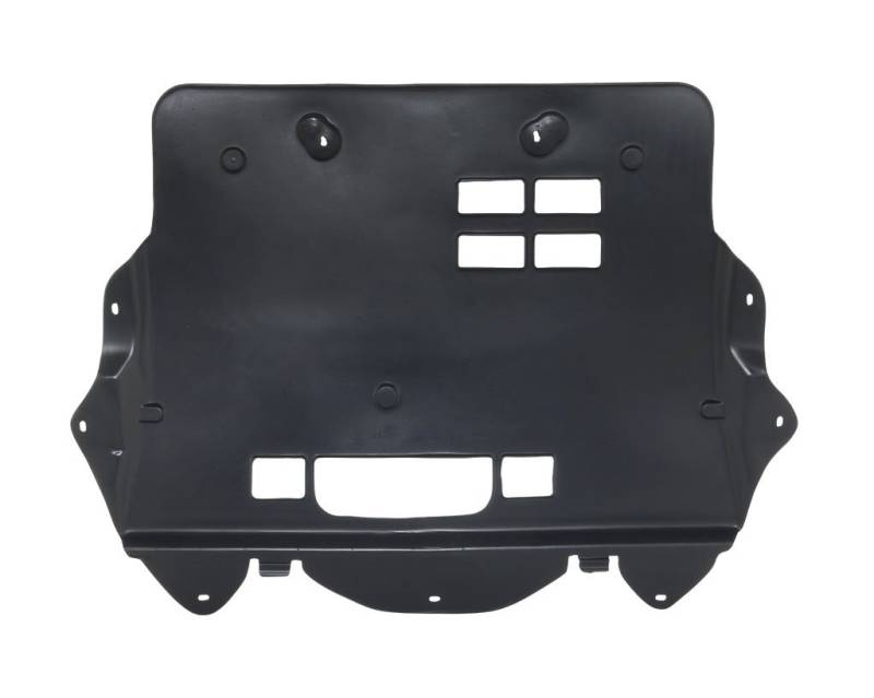 Unterfahrschutz Motorschutz Kompatibel mit Citroen C4 II NC 2009-> von Autoteile Gocht von Autoteile Gocht