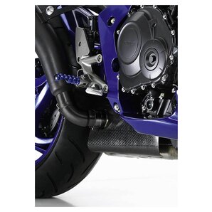 Carbon-Blende für BMW S 1000 RR, Honda CB R ZZZ-kein Hersteller Carbon-Blende für BMW S 1000 RR, Honda CB R ZZZ-kein Hersteller von ZZZ-kein Hersteller