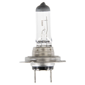 Scheinwerferlampe H7 12V 55W/PX26D ZZZ-kein Hersteller von ZZZ-kein Hersteller