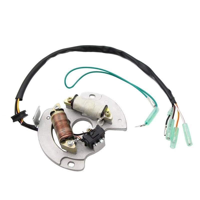 Zündung Stator Magneto Für YFS200 Für Blaster 1990-2002 3JM-85560-00 2XJ-85560-M0 Motorrad Lichtmaschine Magneto Stator Spule Stator Spule von Avfpra