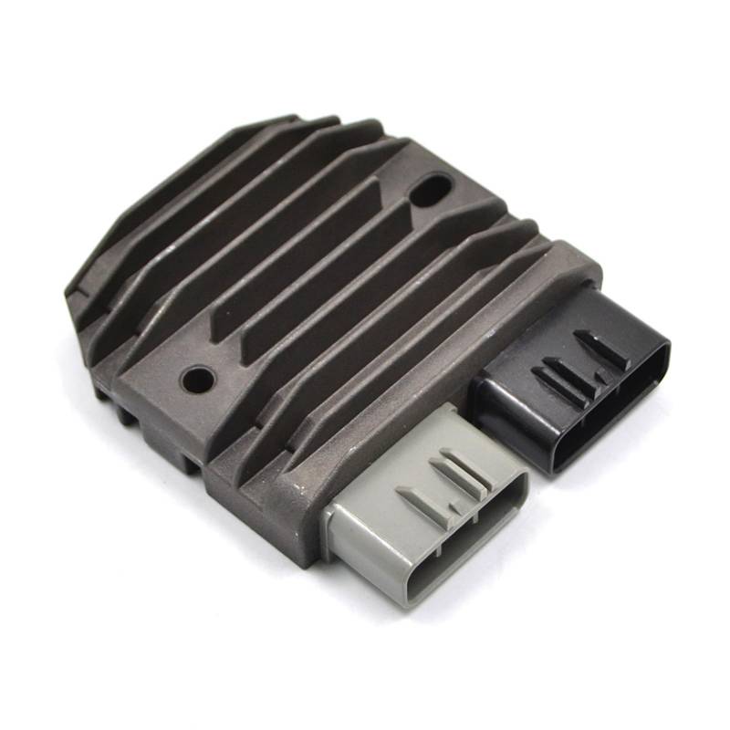 Zündung Stator Magneto Für YZF R1 Für YZF-R1 2002-2003 Für YZF R1S 2003 Mit Dichtung Spannungsreglergleichrichter Stator Spule Stator Spule(C) von Avfpra