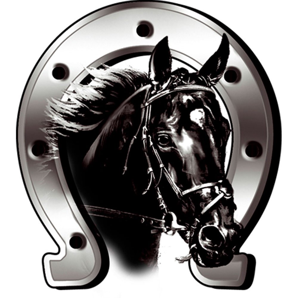 Avisa Aufkleber Horse + Horseshoe - 6x7cm, Silber Avisa Aufkleber Horse + Horseshoe - 6x7cm, Silber von Avisa