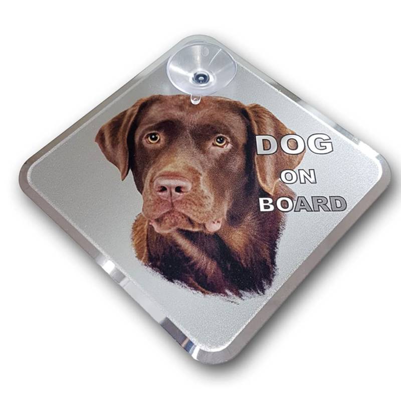 Avisa Auto Tattoo Aufkleber Dog on Board - Labrador 11,5x11,5cm von Avisa