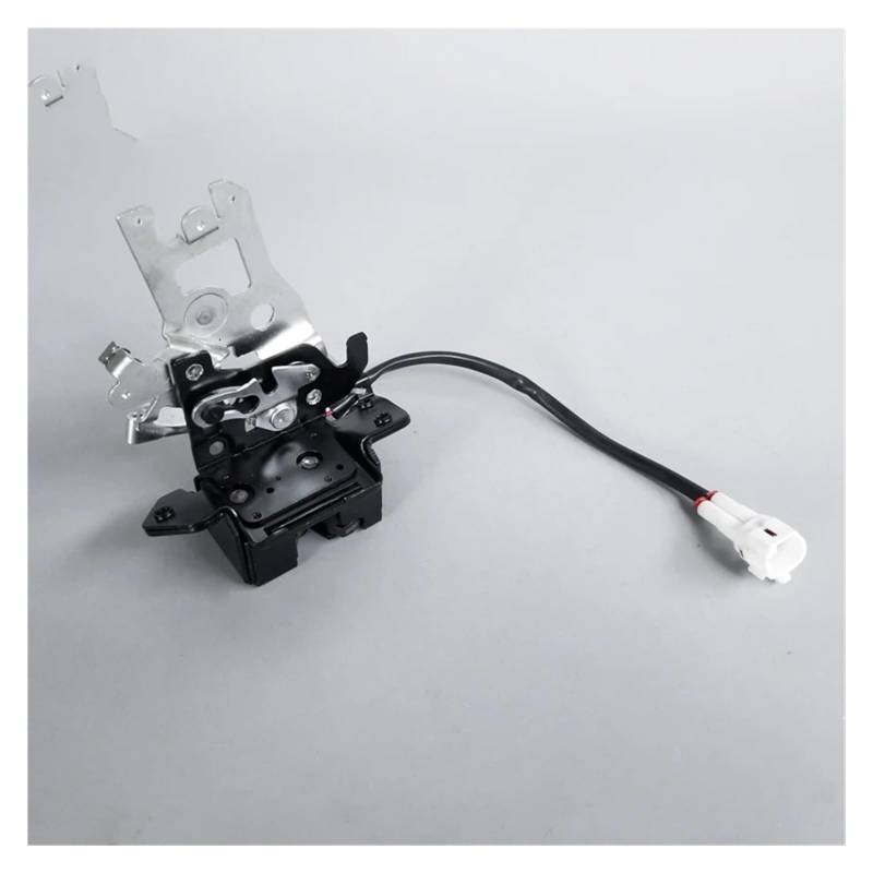 Heckklappenverriegelung Für Toyota Für Sequoia 2001 2002 2003 2004 2005 2006 2007 Zurück Türschloss Heckklappe Latch Heckklappenschloss(Only lock) von Axexnejv