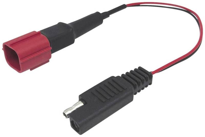 BAAS BA5 Anschlusskabel DDA Ducati-EURO5 SAE/Multiconnector von BAAS