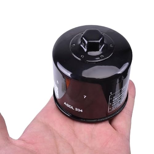 BABEGIM 1000CC Motorrad Ölfilter for KRF1000C KRF1000CMFNN TERYX KRX 1000 SPECIAL EDITION 21 KRF1000 CNF TERYX KRX1000 2022(6pc) von BABEGIM