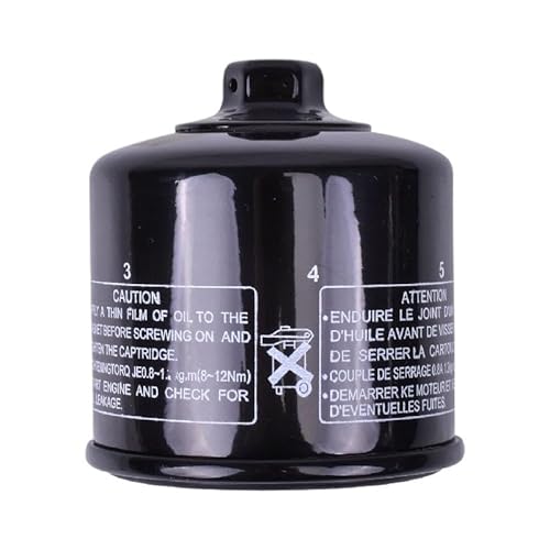 BABEGIM Motorrad Ölfilter for KAF700AKF Mule PRO-MX 2019 KAF700AMF 2021 KAF700A KAF700 KAF700BKF-BLF Mule PRO-MX 20 KAF 700(2pc) von BABEGIM
