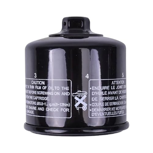 BABEGIM Motorrad Ölfilter for W650 W650A EJ W 650 W650C EJ650 VN750 VN750A Z ZR VN Vulcan 750 Z750 Z750J Z750S ZR750 ZR750S(2pc) von BABEGIM