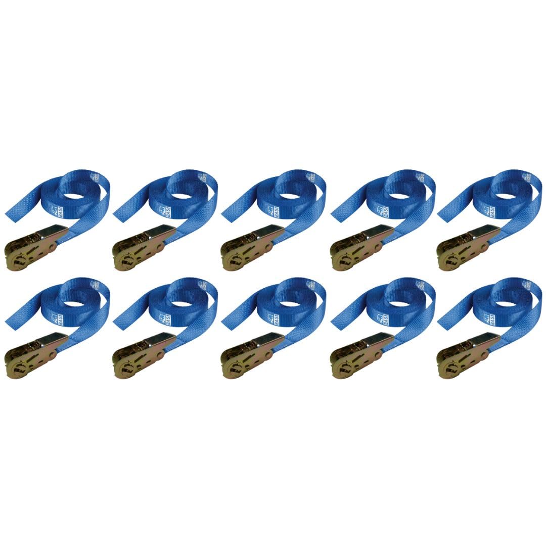 BASI | 10er Set Spanngurte mit Ratsche | bis 500 KG Zurrkraft | Zurrgurte in blau | Länge 500 cm x Breite 2,5 cm | Ladungssicherung Transportsicherung | Ratschengurt TÜV geprüft | 10 Stück BASI | 10er Set Spanngurte mit Ratsche | bis 500 KG Zurrkraft | Zurrgurte in blau | Länge 500 cm x Breite 2,5 cm | Ladungssicherung Transportsicherung | Ratschengurt TÜV geprüft | 10 Stück von BASI