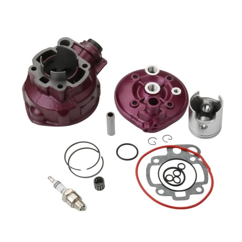 49mm 90ccm Großer Zylindersatz & Kopf for AF1 Classic MX SM Pegaso RS Extrema Replik Tuono 50cc AM4 AM5 AM6 von BCSRVCE