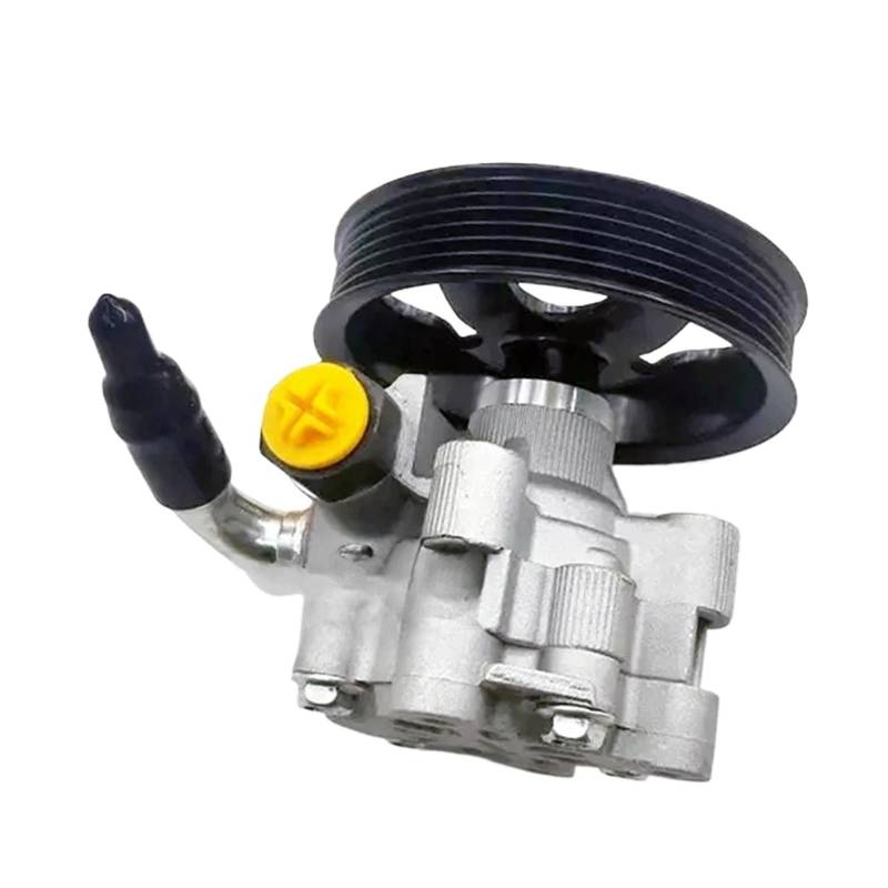 Neue Servopumpe kompatibel for Chevrolet Captiva C140, kompatibel for Opel Antara C145 2.0 2.2 2011-2012 95476164 4819561 von BDGYJGFE