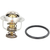 Thermostat, Kühlmittel BEHR TX 83 76D von Behr