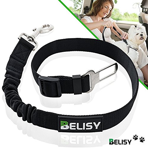 BELISY Hunde-Sicherheits-Gurt fürs Auto - höchste Sicherheit für Dich und Deinen Hund - mit besonders elastischer Ruckdämpfung für maximalen Komfort - passend für alle Hunderassen - Premium Markenqualität - Schwarz von BELISY