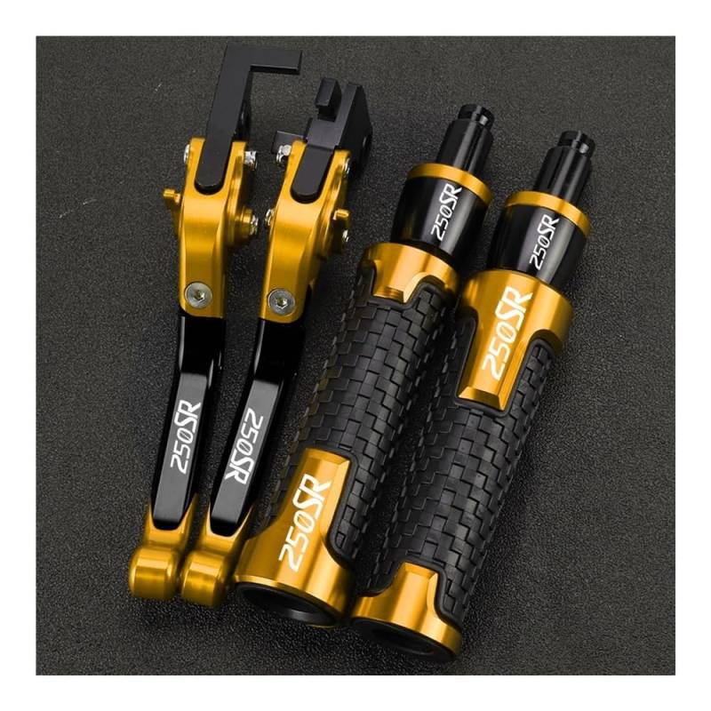 Motorrad Kupplungstrommel Bremshebelgriff Motorrad Einstellbare Bremse Kupplung Hebel Lenker Griffe Ende Für CF 250SR 250 SR 2024 2023 2022 2021 2020 2019 2018 2017 von BELWEIS