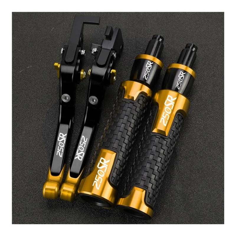 Motorrad Kupplungstrommel Bremshebelgriff Motorrad Einstellbare Bremse Kupplung Hebel Lenker Griffe Ende Für CF 250SR 250 SR 2024 2023 2022 2021 2020 2019 2018 2017 von BELWEIS